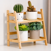 2-Tier Countertop Bamboo Shelf