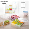 4 Section Freezer Box with Lid (11435) by Limon