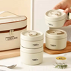 Steel Meal Box Set with Thermal Insulated Carry Bag