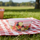 440ML Square Glass Container with Lid (2014) by Limon