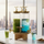 3-Pcs TintedGlass Round Beverage Dispenser Set with Rotatable Wooden Stand (1147)