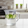 LuxeServe Pitcher with Lid (31246) by Ziba
