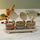 Round 3-Pcs Glass Spice Jars with Plastic Lid & Stand