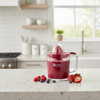 CitraFlow Juicer & Pitcher (31405) by Ziba