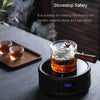 Dual Chamber Glass Tea Infuser with Wooden Handle