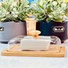 MultiServe Wooden Keeper with Clear Lid
