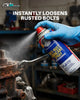 Anti-Rust Lubricant Spray