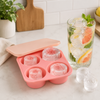 Silicone Ice Cube Tray Set | 4 Compartments for Tumblers