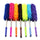 Telescopic Wall Duster